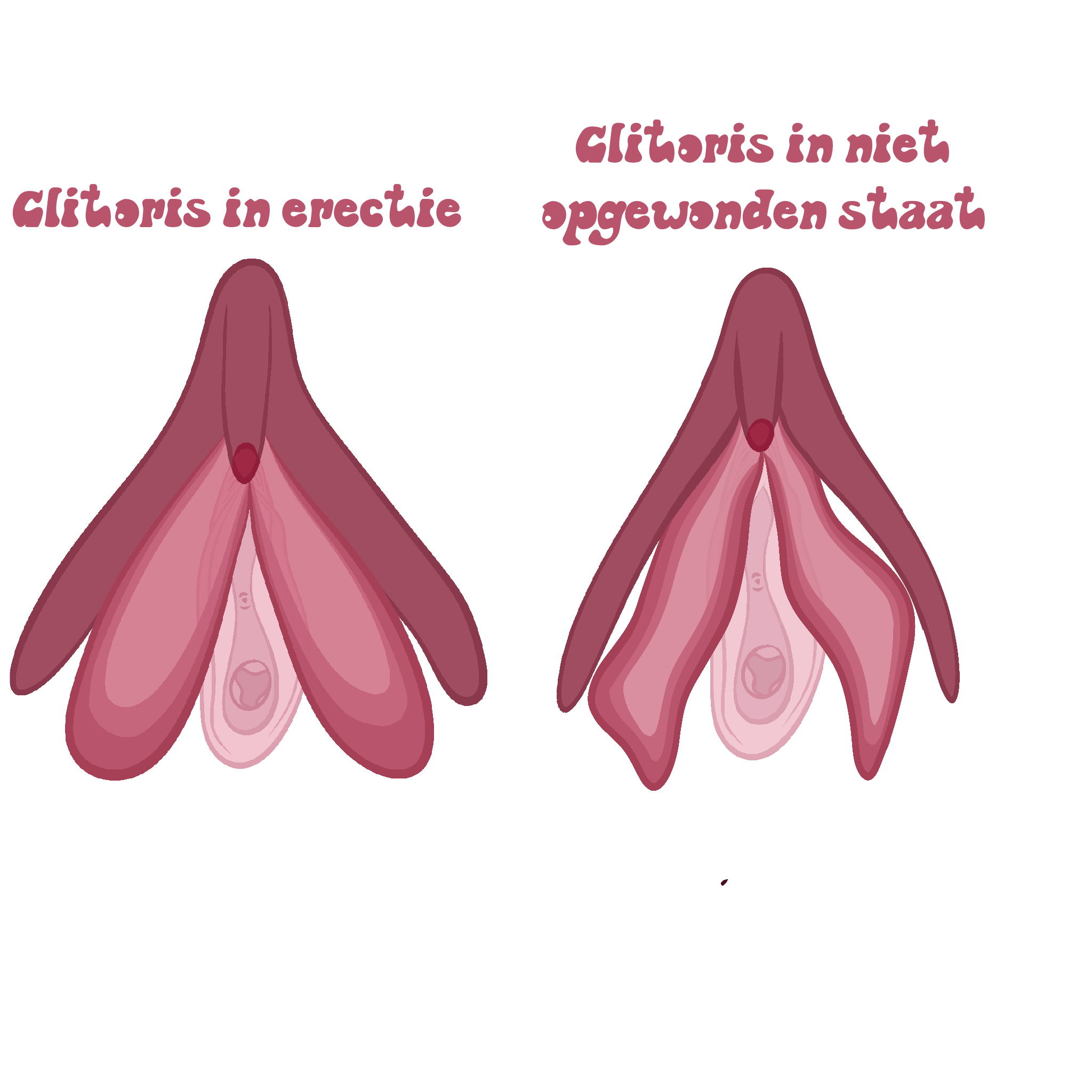 Maak kennis met de clitoris Seksueel plezier and welzijn Yonifyer Yonifyer afbeelding